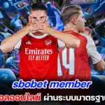 sbobet member